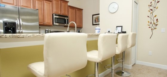 image_156997688.jpeg Holiday villas in Orlando