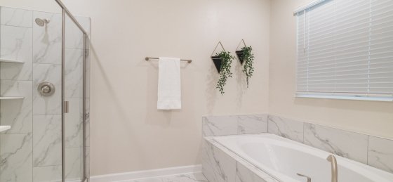 image_158160758.jpeg Holiday home in Florida villa booking