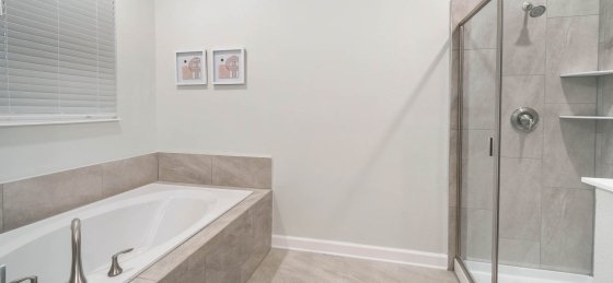 image_159724091.jpeg Holiday villas in Florida