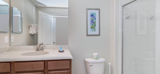 image_159851920.jpeg Villas in Orlando