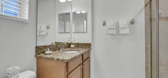 image_160653083.jpeg Villas in Orlando