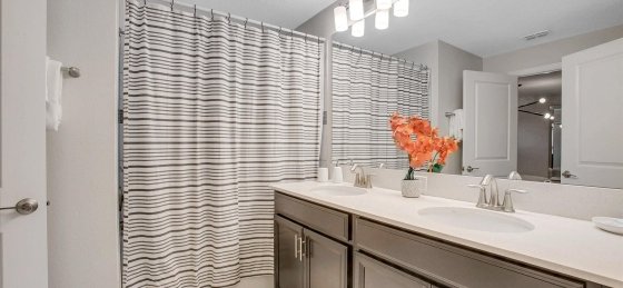 image_162593526.jpeg Holiday home in Florida villa booking