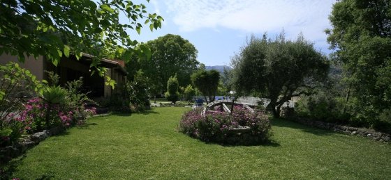 Holiday villas in Pollensa