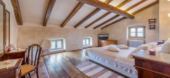 villa_tona-tonini_dvori_internet_zoom-4.jpg Holiday home in Porec villa booking