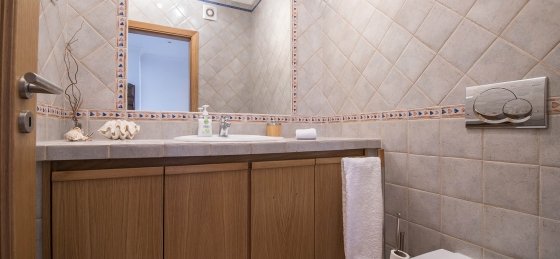 wc1.jpg Villas in Algarve