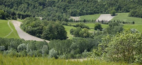 25.jpg Villa in Pisa to rent