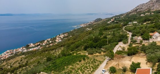 50.jpg Book a villa holiday in Dalmatia