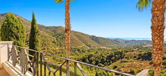 5k6a4675.jpg Villa rentals in Marbella