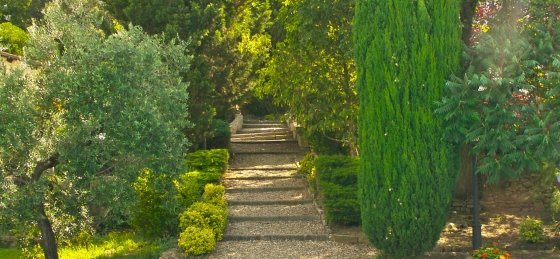 Villa in Tuscany to rent