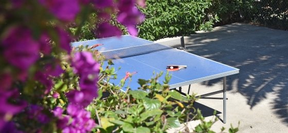 Book a villa in Mallorca