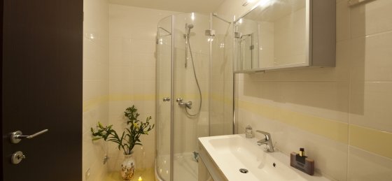 bathroom.jpg Villas in Croatia