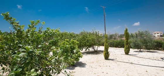 cart4404.jpg Book a villa holiday in Protaras