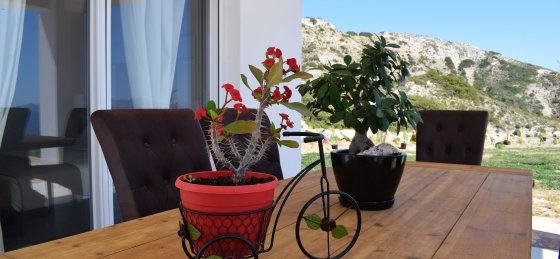 dsc_0052_antigrafo.jpg Villa holidays in Kos