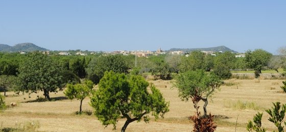 dsc_4642.jpg Villa rentals in Mallorca