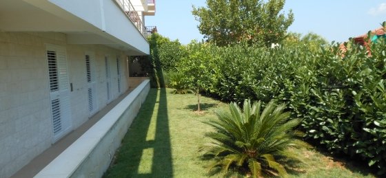 dscn0074.jpg Book a villa holiday in Dubrovnik