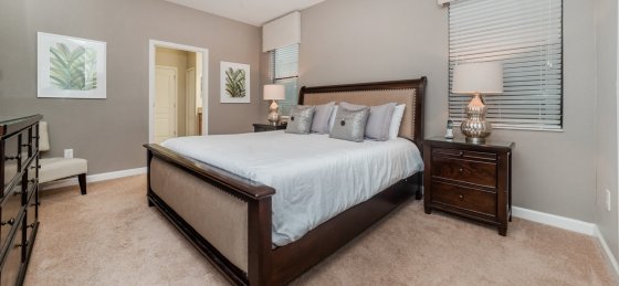 image_156989209.jpeg Holiday home in Florida villa booking