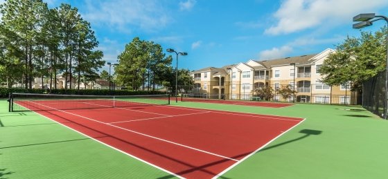 image_156997851.jpeg Villa rentals in Orlando