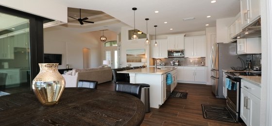 image_160016692.jpeg Villa holidays in Florida