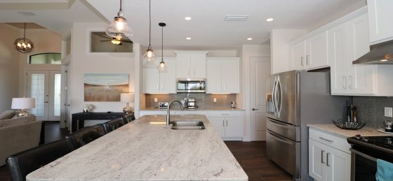 image_160016693.jpeg Villa in United States to rent