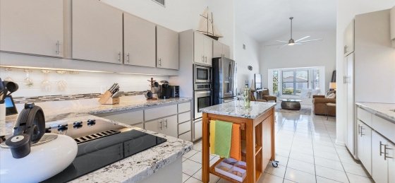 image_160685893.jpeg Villas in United States