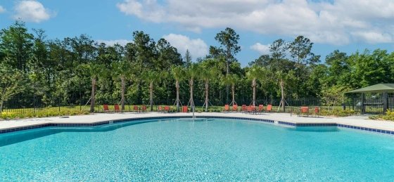 image_160852715.jpeg Villa rentals in Orlando