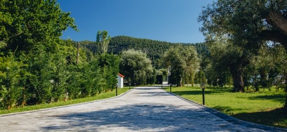 Villa in Hanioti to rent