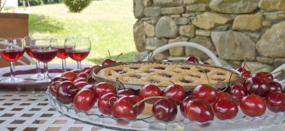 Villa in Pisa to rent