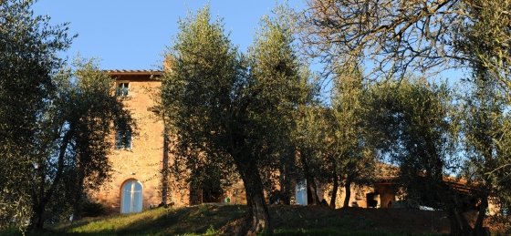 Holiday villas in Tuscany