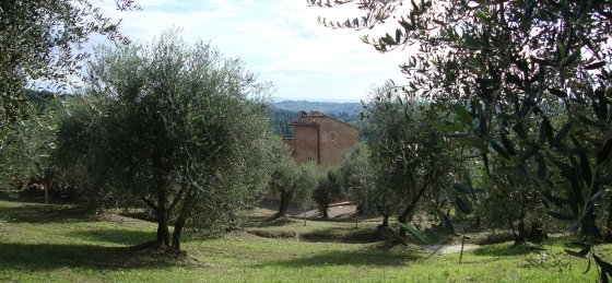 Holiday home in Pisa villa booking