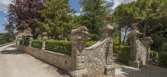 lo_dsc1632.jpg Holiday home in Tuscany villa booking