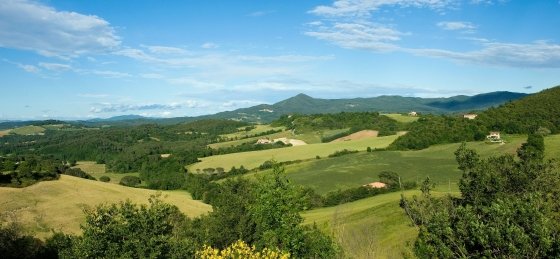 lo_villa-bacio-high-2.jpg Book a villa holiday in Tuscany