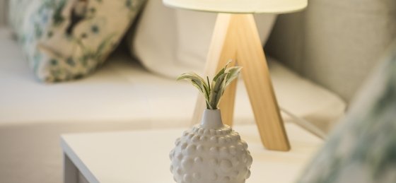 nik_12.jpg Villa in Kefalonia to rent