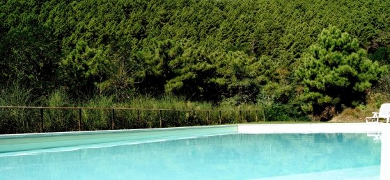 Villa in Tuscany to rent
