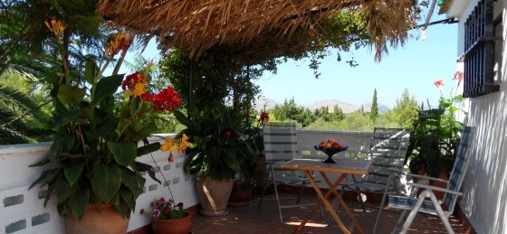 sam_0164.jpg Book a villa in Spain