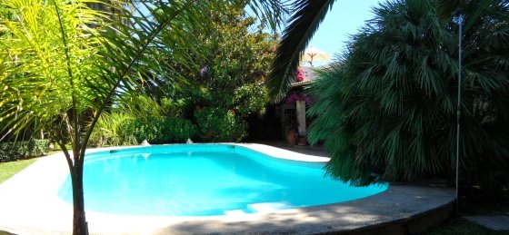 sam_0198.jpg Villas in Mallorca