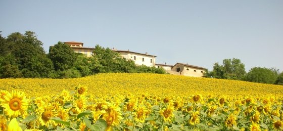 Villa in Italy to rent