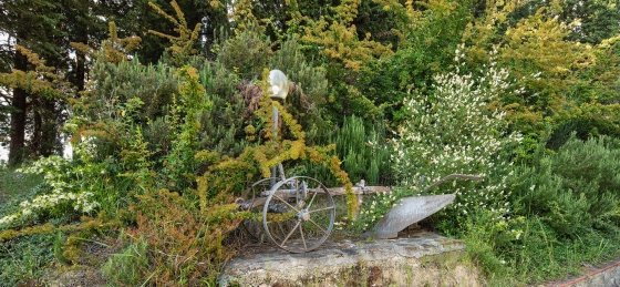 villa_donatella_y3a5384.jpg Villa holidays in Italy