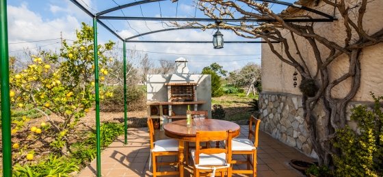 vives_315.jpg Villa holidays in Pollensa