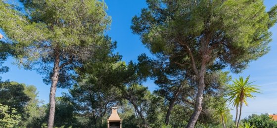 Villa rentals in Spain