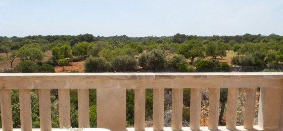 dsc_5450co.jpg Villa in Spain to rent