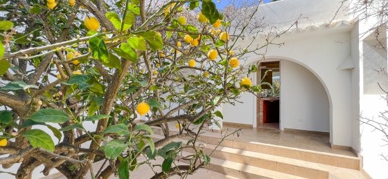 img_8328_-_copia_-_copia_-_copia.jpg Villa holidays in Balearic Islands