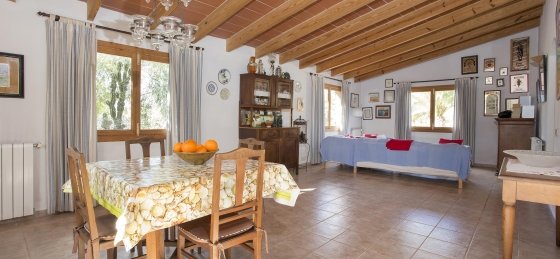 Villa in Mallorca to rent
