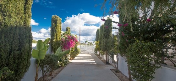 29.jpg Holiday villas in Protaras