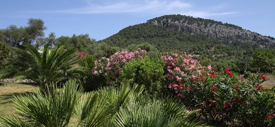 caragola_-_views_1_2400x1600.jpg Villas in Balearic Islands