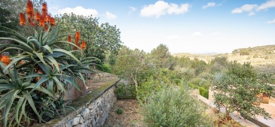 Villa holidays in Mallorca