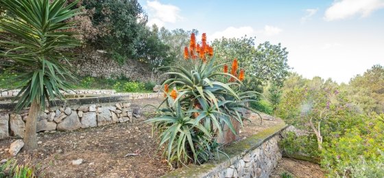 Villas in Balearic Islands