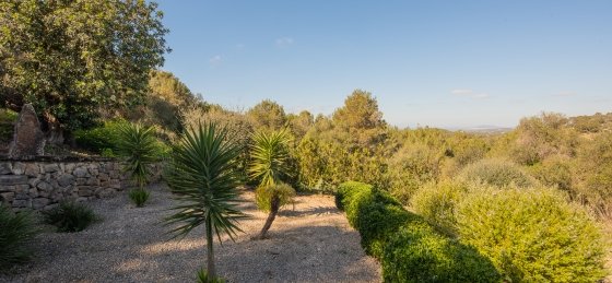 Villa rentals in Cala d'Or