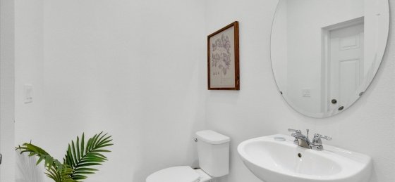 image_163601193.jpeg Villa rentals in United States