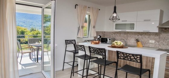 img_5980.jpg Book a villa holiday in Rijeka Region