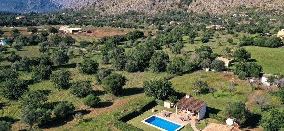 juanito_-_z_swimming_pool_04.jpg Villa holidays in Balearic Islands